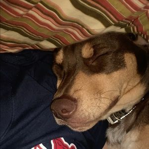 Meet your Posher, Carlos